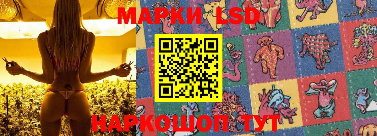 сколько стоит  Марки NBOMe 1,5мг  Вход с VPN  Марки NBOMe 1,5мг  Свободный 