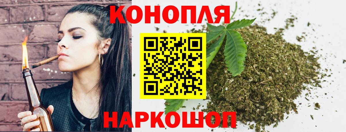 Каннабис планчик  Марихуана планчик  Свободный  Конопля OG Kush  Вход с VPN 